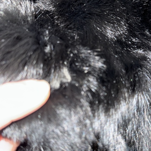 Princess Caravelle Dyed Rabbit Fur Bomber Jacket SZ Youth 14/ Adult XS - Picture 12 of 12